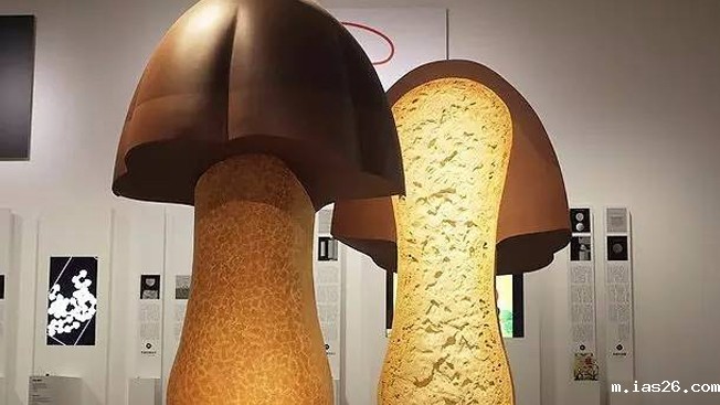 日本设计大师佐藤卓作品探析