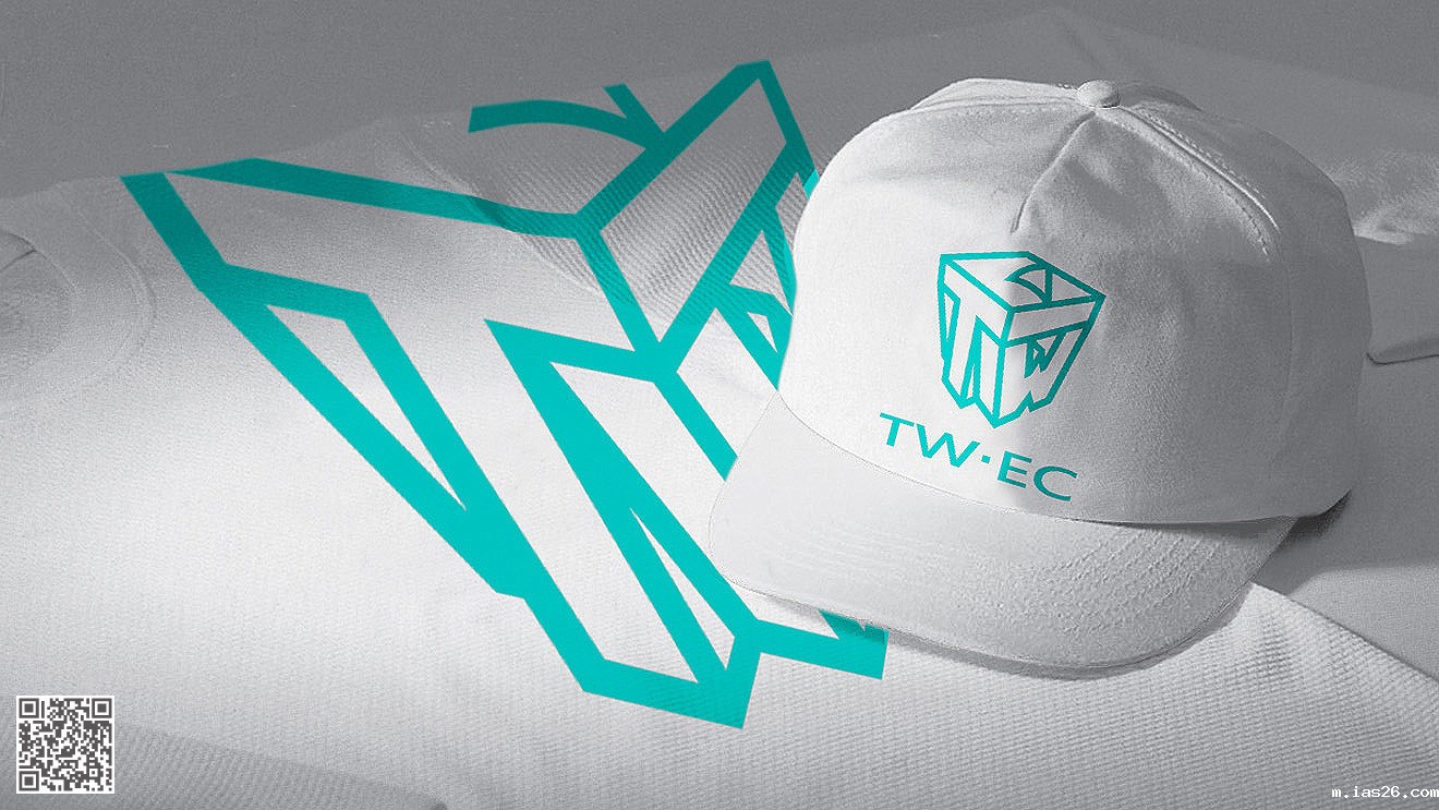 企业品牌设计方案模板_企业品牌推广策划书