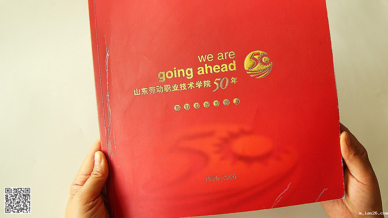 山东劳动职业技术学院品牌形象设计