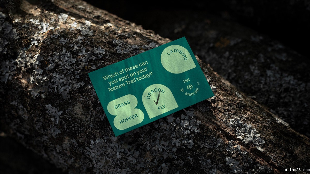 中心公园，CP巧组合