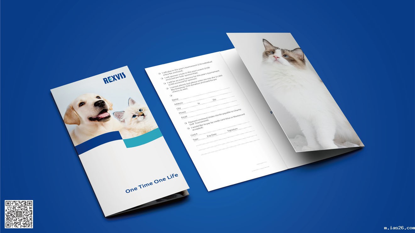 REXVIS力维士品牌&营销必威官方首页官网电话查询策划设计