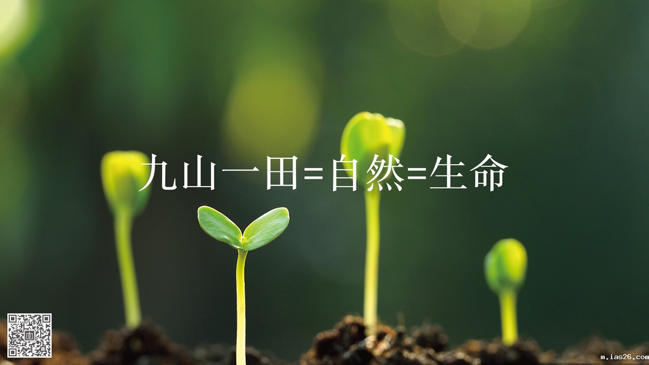 九山一田品牌&营销必威官方首页官网电话查询策划设计